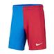 Футбольна форма Nike Barcelona (S-XL) f102-XL фото 3