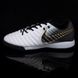 Сороконіжки Nike Tiempo X Legend VII Pro TF (39-45) 115-45 фото 4