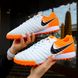 Сороконожки Nike Tiempo X Legend VII Pro TF (39-45) 141-45 фото 1