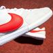 Футзалки Nike Premier 2 Sala IC (39-45) 324-45 фото 6