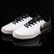 Футзалки Nike Tiempo Lunar LegendX 7 Pro IC (39-45) 305-45 фото 2