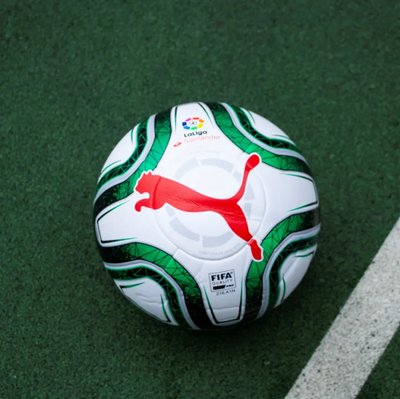 Футбольний м'яч Puma LaLiga 1 FIFA Quality Pro 01 604-Розмір 5 фото
