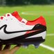 Бутсы Nike Tiempo Legend Pro FG (39-45) 265-45 фото 5