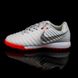 Сороконожки Nike Tiempo X Legend VII Pro TF (39-45) 112-45 фото 3